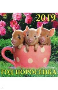 Календарь 2019 "Год поросенка" (45906)