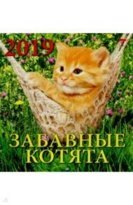 Календарь 2019 "Забавные котята" (30905)