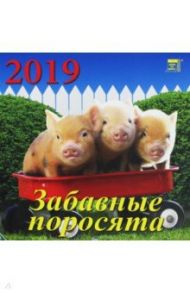 Календарь 2019 "Забавные поросята" (30908)
