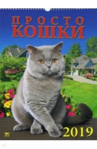 Календарь 2019 "Просто кошки" (12910)