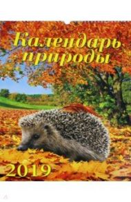 Календарь 2019 "Календарь природы" (12913)