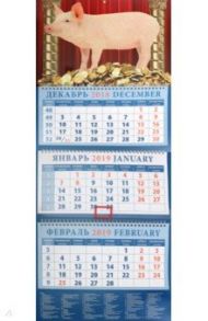 Календарь квартальный на 2019 год  "Год поросенка - год удачи" (14901)