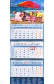 Календарь квартальный на 2019 год "Год поросенка. На пляже" (14903)