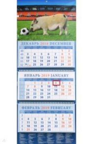 Календарь квартальный на 2019 год "Год поросенка - год футбола" (14911)