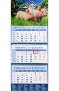 Календарь квартальный на 2019 год "Год поросенка. На даче" (14912)