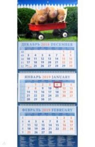 Календарь квартальный на 2019 год "Год поросенка. Забавная троица" (14914)