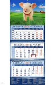 Календарь 2019 "Год поросенка. Хорошее настроение" (14921)
