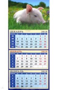 Календарь 2019 "Год поросенка. На лугу" (34911)