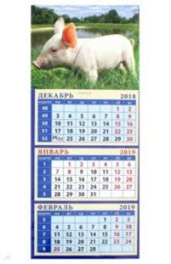 Календарь 2019 "Год поросенка. На берегу пруда" (34912)