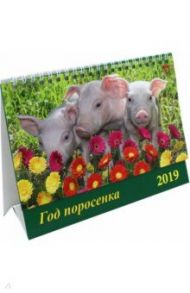 Календарь 2019 "Год поросенка" (19905)