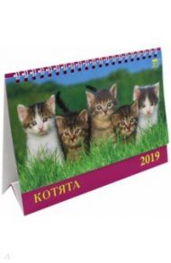 Календарь на 2019 год "Котята" (19909)