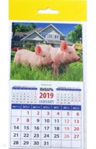 Календарь 2019 "Год поросенка. На даче" (20924)
