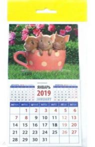 Календарь 2019 "Год поросенка. Забавная троица в чашке" (20930)