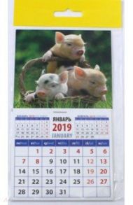 Календарь 2019 "Год поросенка. Симпатичная троица в корзинке" (20936)