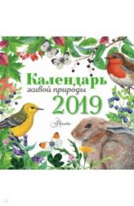 Календарь настенный на 2019 год "Календарь живой природы"