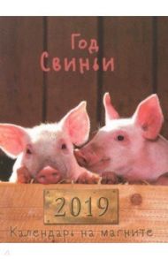 Календарь на 2019 год на магните "Год свиньи"