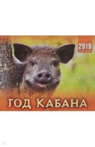 Календарь перекидной на 2019 год "Год кабана" (К-005)