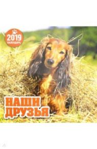 2019 год.Календарь перекидной "Наши друзья" (К-019)