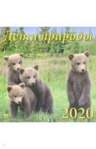 Календарь 2020 "Дети природы" (70023)