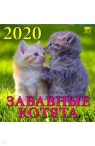 Календарь 2020 "Забавные котята" (30005)