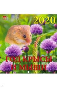 Календарь 2020 "Год крысы и мыши" (30007)