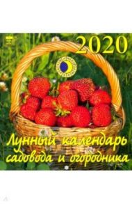 Календарь 2020 "Лунный календарь садовода и огородника" (30009)