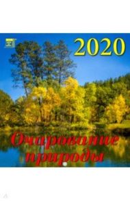 Календарь 2020 "Очарование природы" (30011)