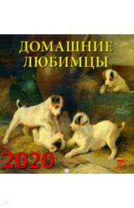 Календарь 2020 "Домашние любимцы" (30012)