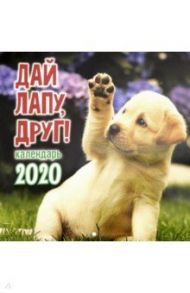 Календарь перекидной на 2020 год "Дай лапу, друг!" (К-28)