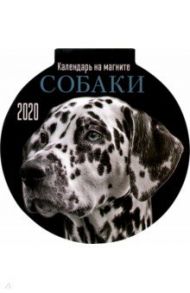 Календарь на магните на 2020 год "Собаки"