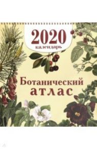 Календарь настенный на 2020 год "Ботанический атлас"