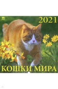 Календарь на 2021 год "Кошки мира" (70104)