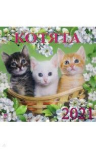 Календарь на 2021 год "Котята" (70105)