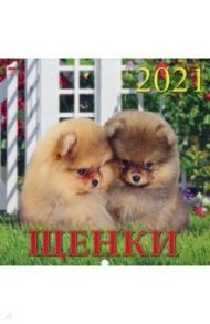 Календарь на 2021 год "Щенки" (70106)