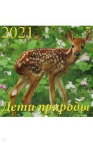 Календарь на 2021  год "Дети природы" (70130)