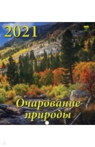 Календарь на 2021 год "Очарование природы" (45105)