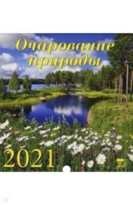 Календарь на 2021 год "Очарование природы" (30111)