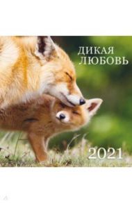 Дикая любовь. Календарь настенный на 2021 год (300х300 мм)