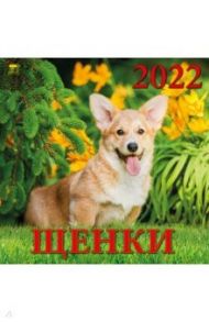 Календарь на 2022 год "Щенки" (70206)