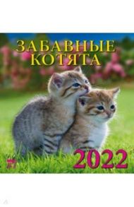 Календарь на 2022 год "Забавные котята" (30205)