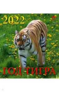 Календарь на 2022 год "Год тигра" (45206)