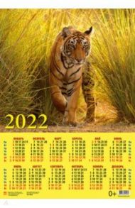 Календарь настенный на 2022 год "Год тигра. Сила и уверенность" (90224)