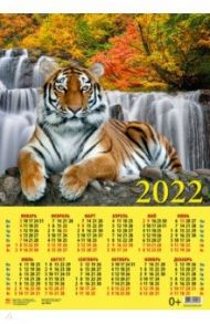 Календарь настенный на 2022 год "Год тигра. Отдых у воды" (90225)