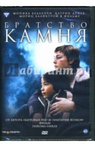 Братство камня (DVD-box) / Никлу Гийом