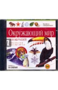 Готовимся к школе. Окружающий мир для малышей (DVDpc)