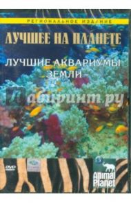 Лучшее на планете: Лучшие аквариумы земли (DVD) / Мешельски Том, Батлер Роб