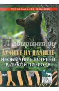 Лучшее на планете. Необычные встречи в дикой природе (DVD) / Мешельски Том