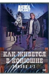 Discovery. Как живется в конюшне (1 сезон, эпизод 1-2) ( DVD) / Докер Адам, Аткинс Грег