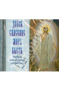 Днесь спасение миру бысть. Мужской хор Санкт-Петербургской Духовной Академии (2CD)