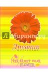 Дневник ДД034842 Солнечные цветы. Красная гербера